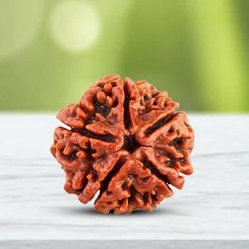 Original 108 Beads Rudraksha Jaap Mala 50%off [DIWALIOFFER]